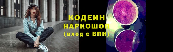 прущие крисы Корсаков