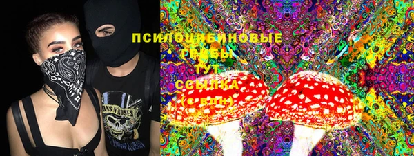 первитин Козловка