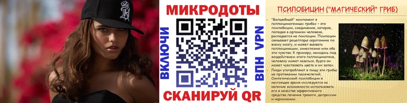 Купить закладки  Саки  Псилоцибиновые грибы Cubensis 